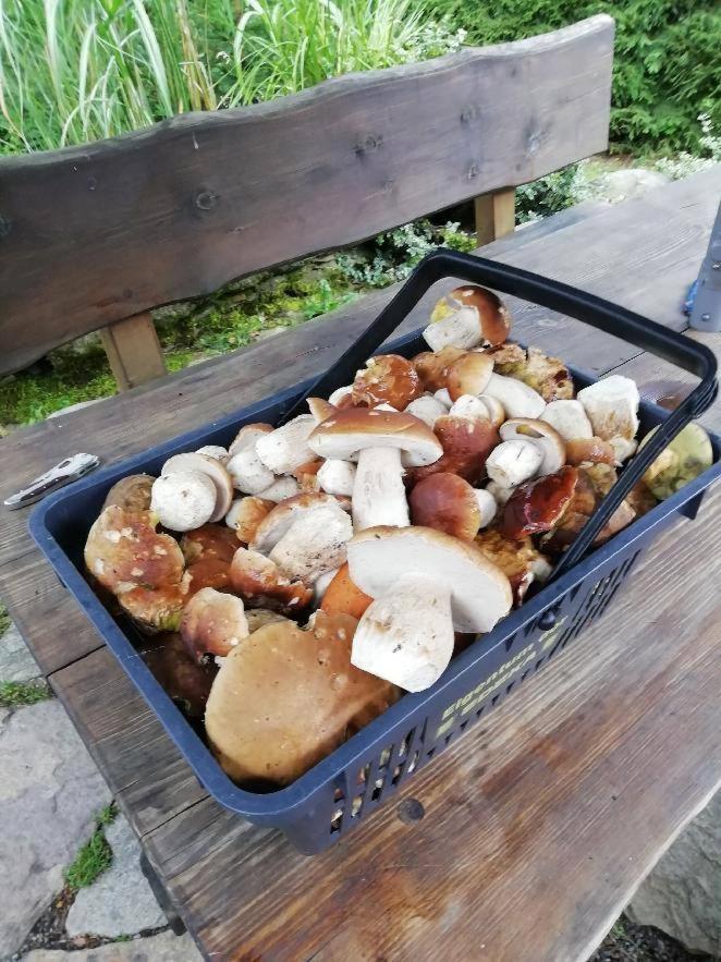 Chata Venda Lipno nad Vltavou Extérieur photo