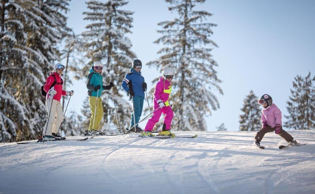 Chata Venda Lipno nad Vltavou Extérieur photo